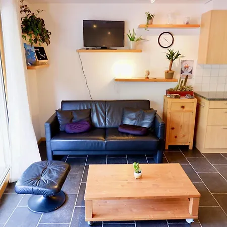Haus Judith - Bonita By Interhome Apartamento Saas-Fee