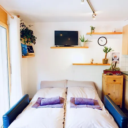 Haus Judith - Bonita By Interhome 公寓 萨斯费